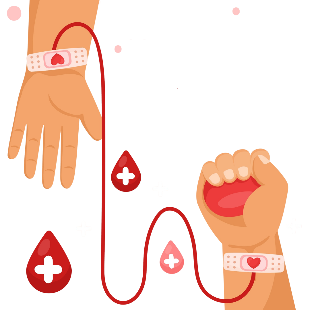 Ilustración donación de sangre — dos manos unidas por una vía de transfusión con gotas de sangre